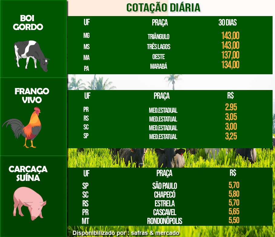 Indicadores